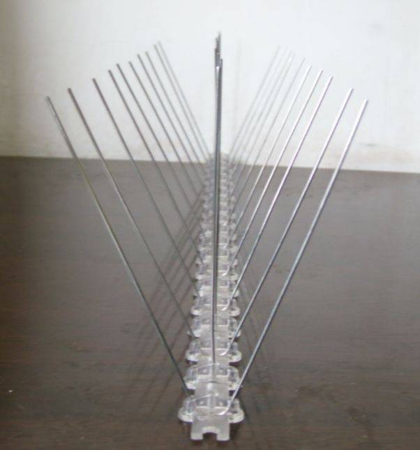 5 Metre Bird Spikes Heavy Duty Eastern Suburb Pest Control 5 Metre Bird Spikes Heavy Duty